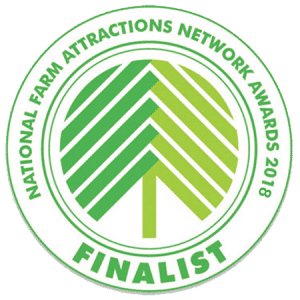NFAN-Awards-2018-Finalist-logo