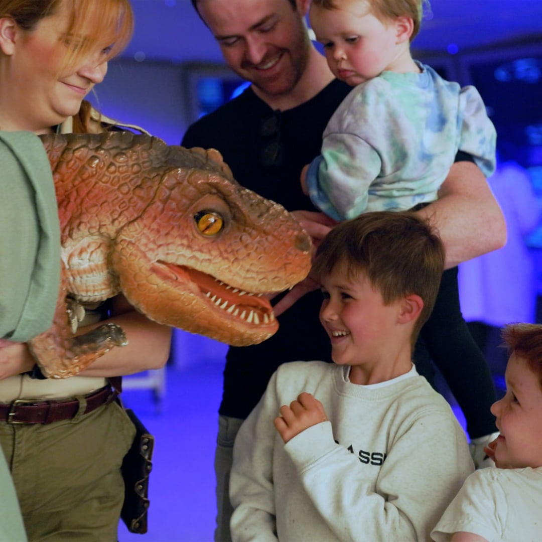 Petting baby dinosaurs