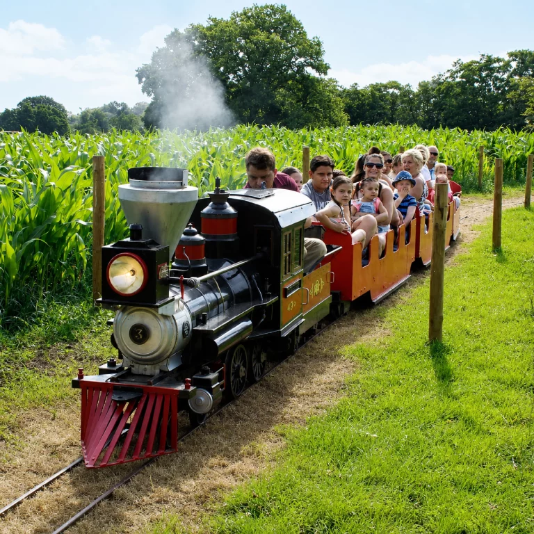 Train Ride 4 Kingdoms