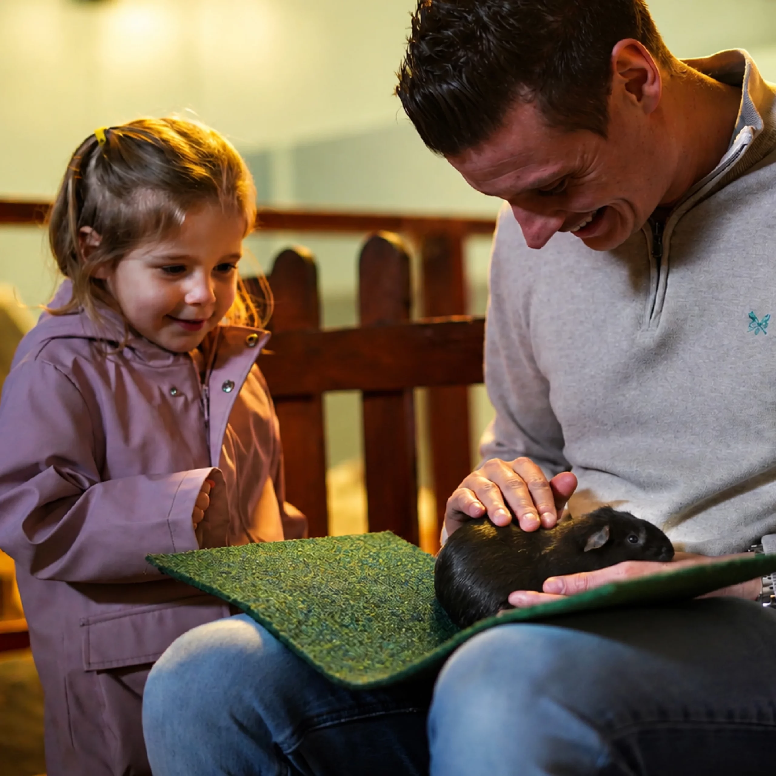 4 Kingdoms Children Activties Adventure Farm Park