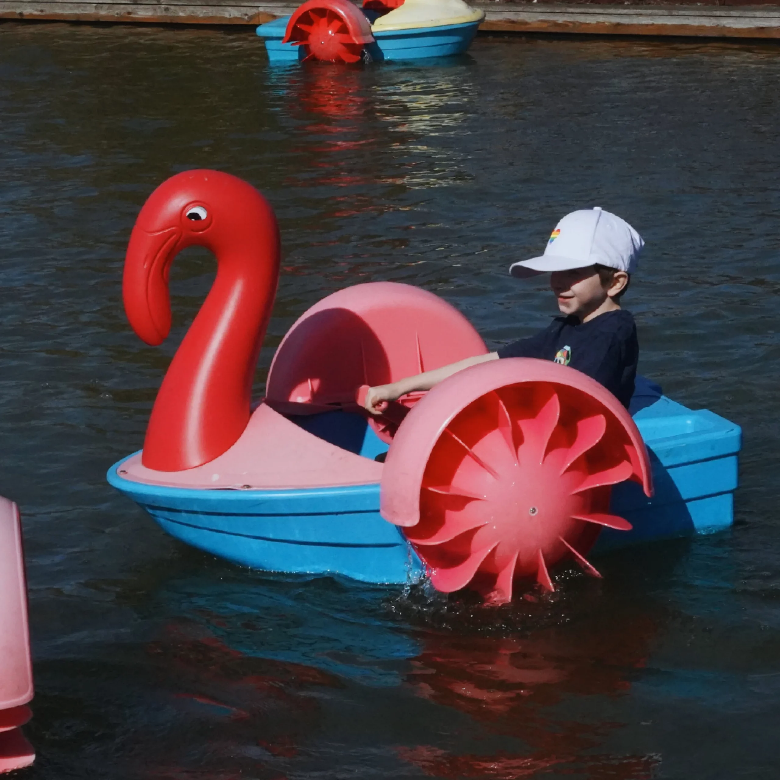 4 Kingdoms Children Activties Adventure Farm Park