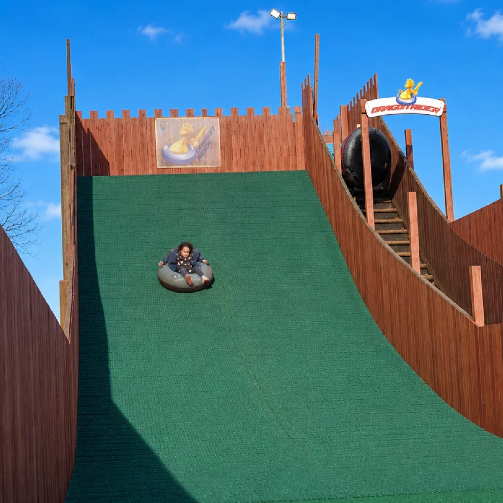Dragon Rider Slide for Kids