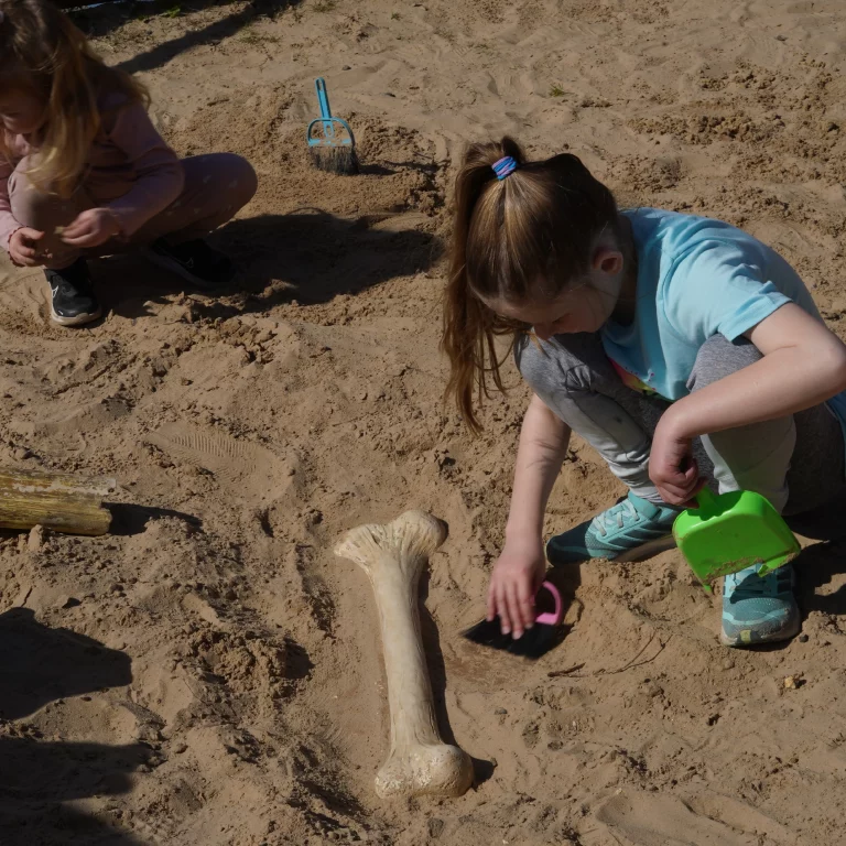 Fossil Dig 4 Kingdoms Children Activities