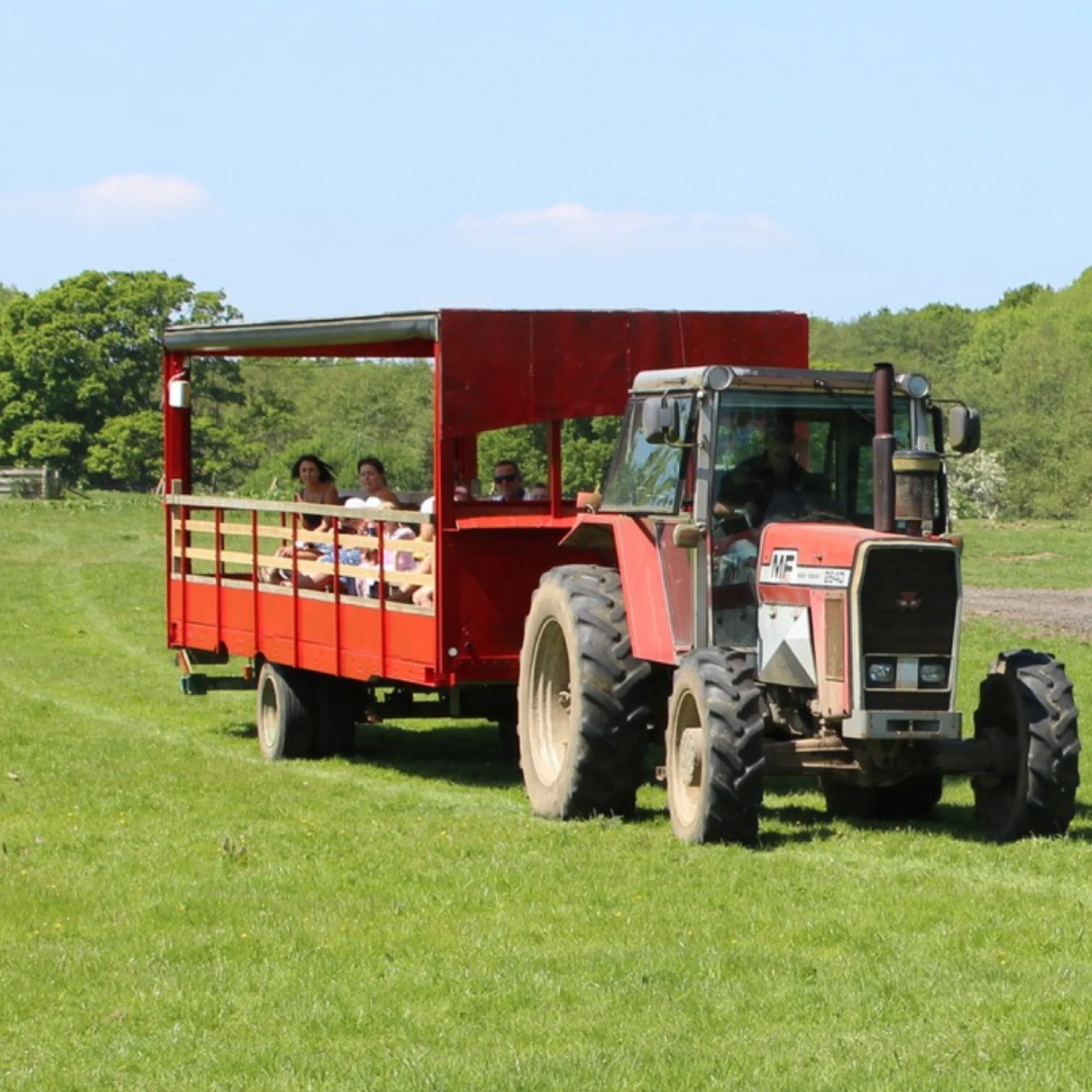 Tractor Ride Party Children