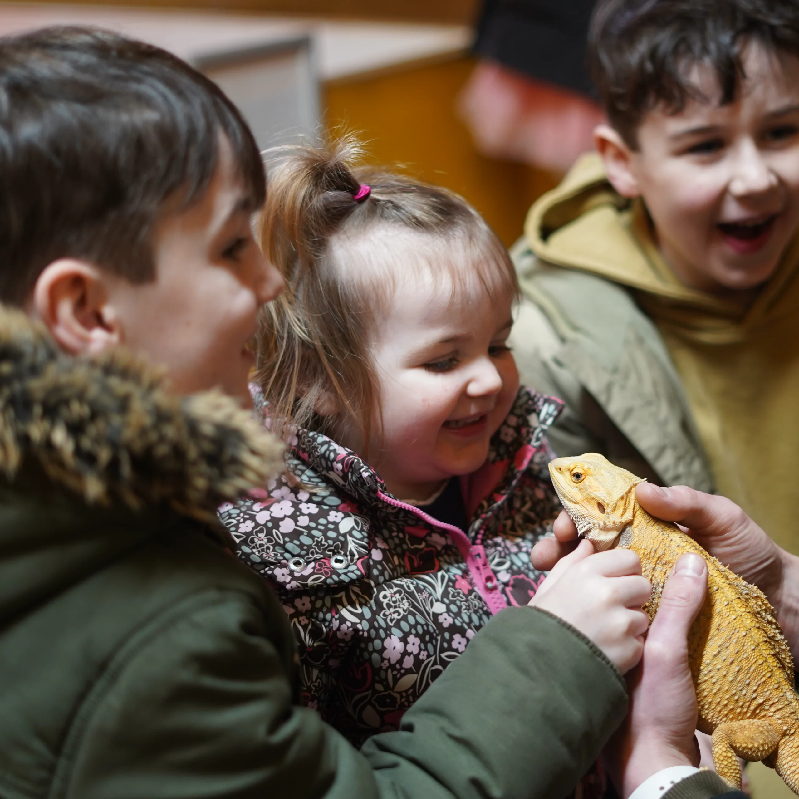 Children Party Hire