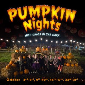 Pumpkin nights ad